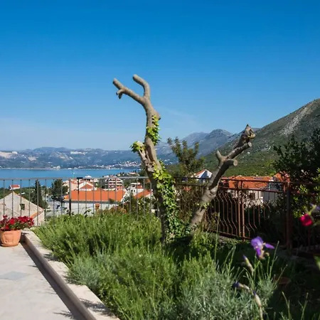 Konkula Cavtat